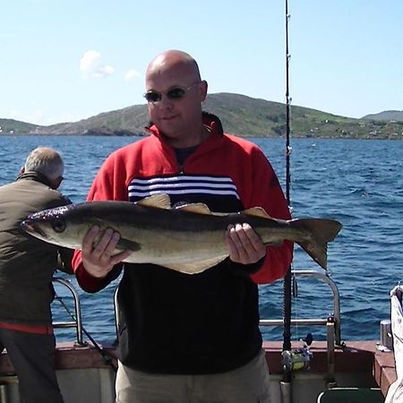 Sneem River Lodge Bed & Breakfast Bagian luar foto