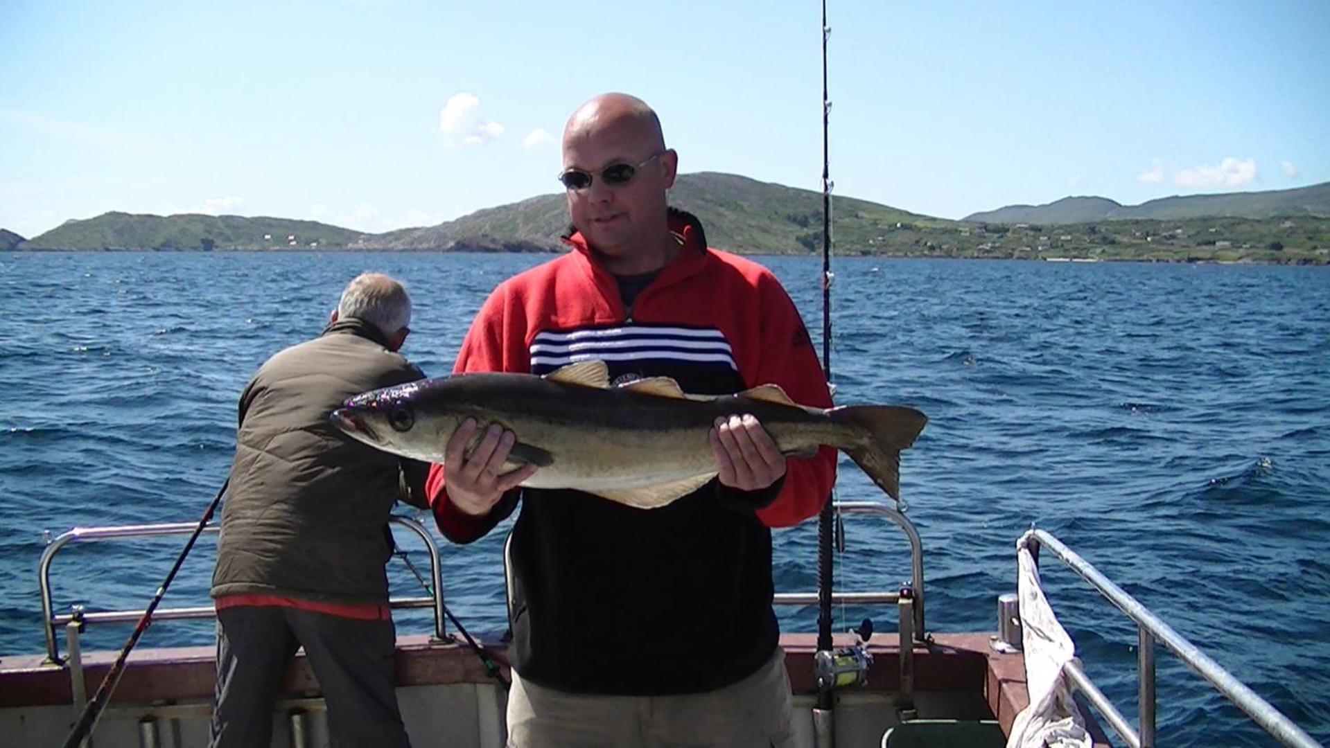 Sneem River Lodge Bed & Breakfast Bagian luar foto